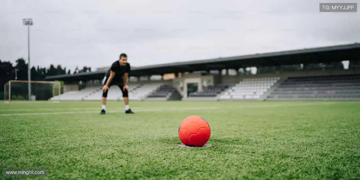 👕 球迷专属,个性定制!从球衣到潮 T,每一件都是你的主场战袍!